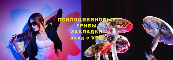 дмт Богородицк