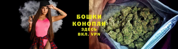 дмт Богородицк